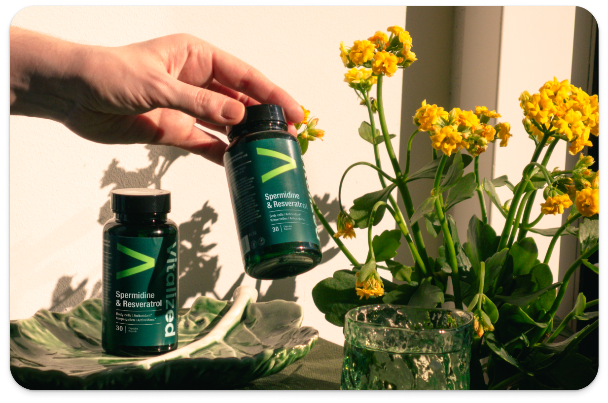 Vitalized Spermidine & Resveratrol, hand holding a green supplement, one bottle on table, yellow flowers to the right